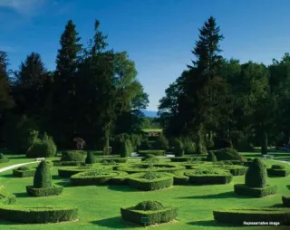 Multi-Purpose Lawn